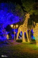 gaeta luminarie 2021 42