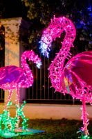 gaeta luminarie 2021 44