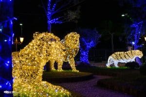 gaeta luminarie 2021 47