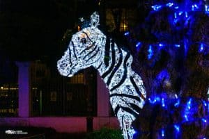 gaeta luminarie 2021 51