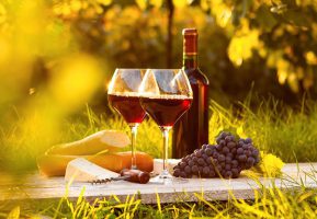 taxi transfer wine tour italy